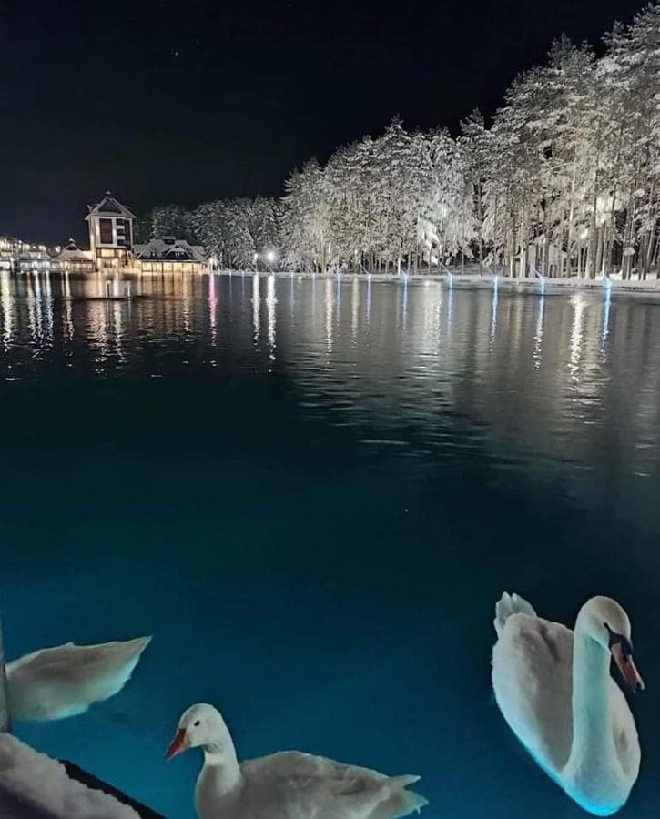 Kraljevi Konaci Olja Lägenhet Zlatibor Exteriör bild